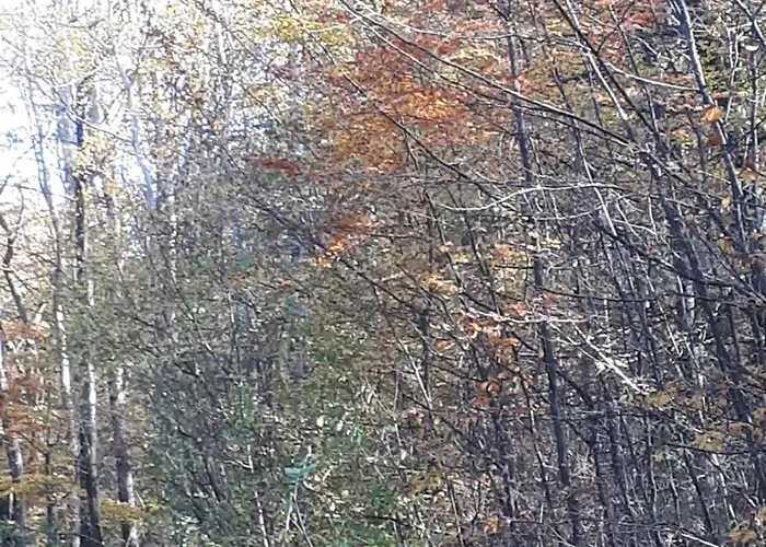 Eifel Dom wakacyjny Gerolstein